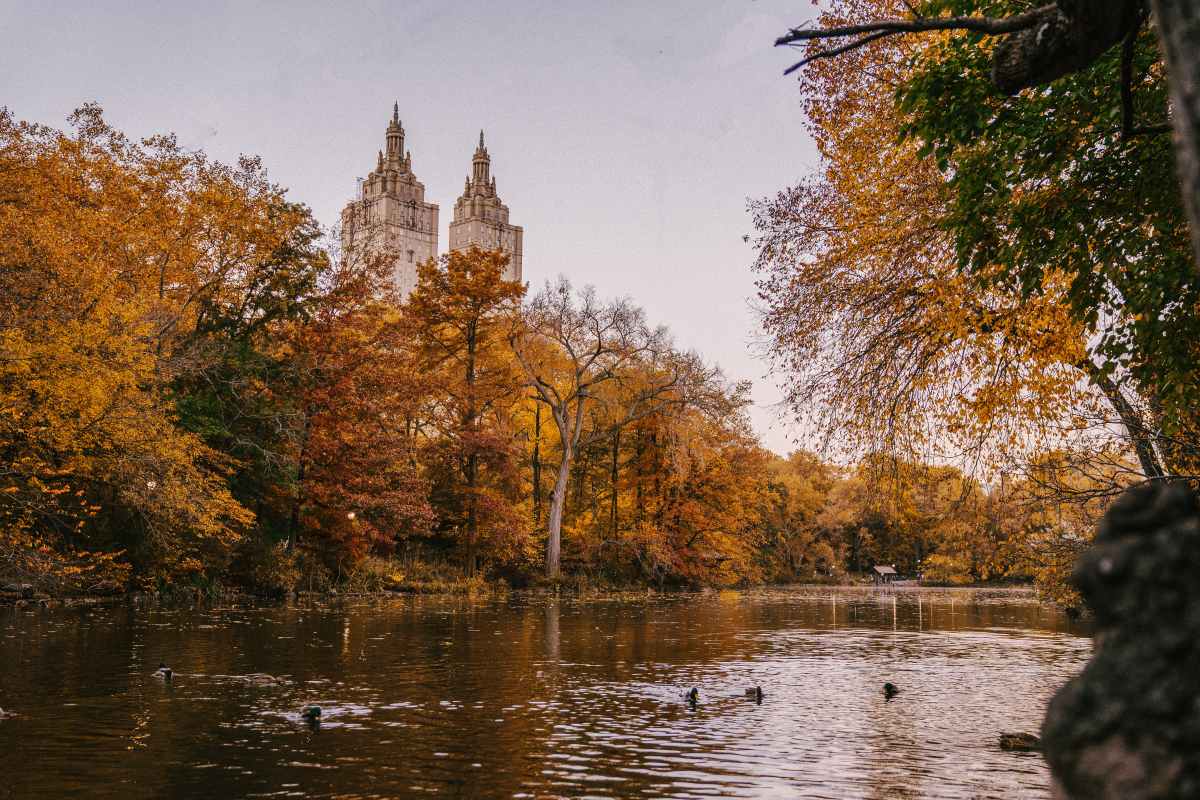 Best Ways To Experience New York On A Budget