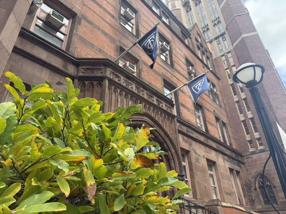 A green bush in front of the Teachers College front entrance.
