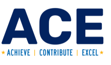 ACE Performance Year-End Review: Maximize your year-end review! (60 min ...