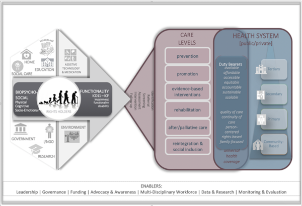 Global Mental Health - Human Rights and Policy Diagram