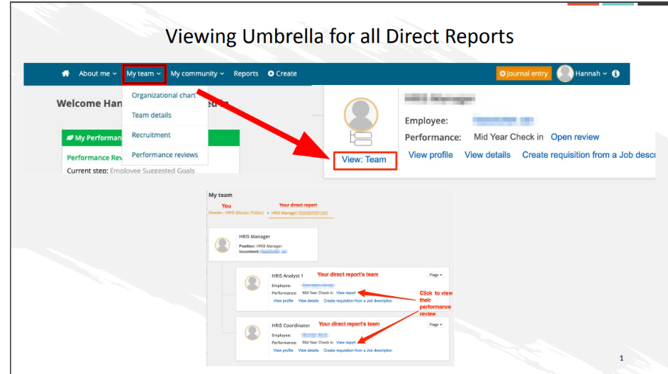 Viewing umbrella for all direct reports guide