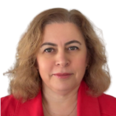 Yasemine Gulbahar, Associate Professor of Teaching at Teachers College Columbia University