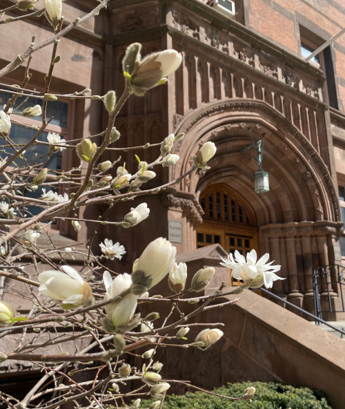 Teachers College Columbia University Campus entrance with flower