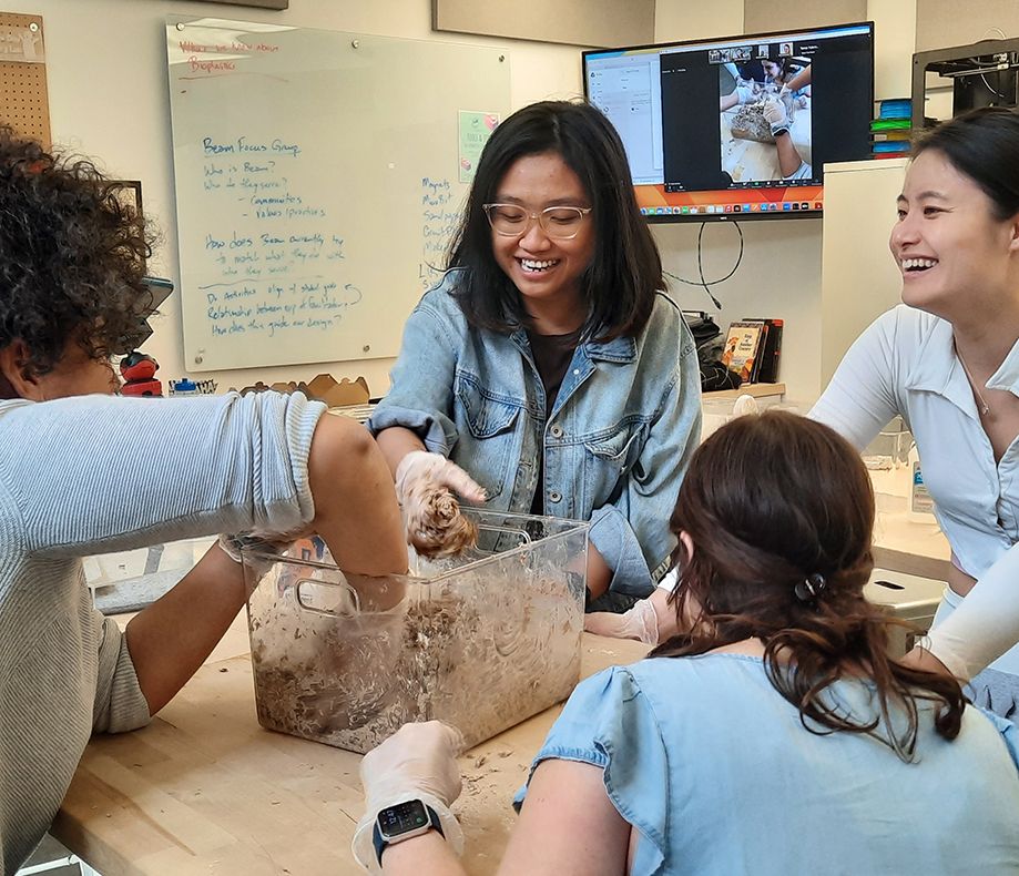 Students working in a lab