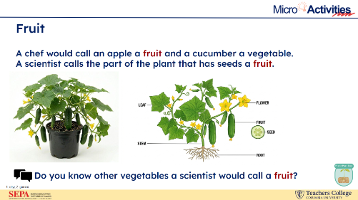 Part of a Micro-Activity where students learn about fruit.