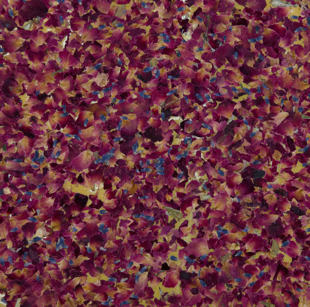 Image of purple and yellow flower petals 