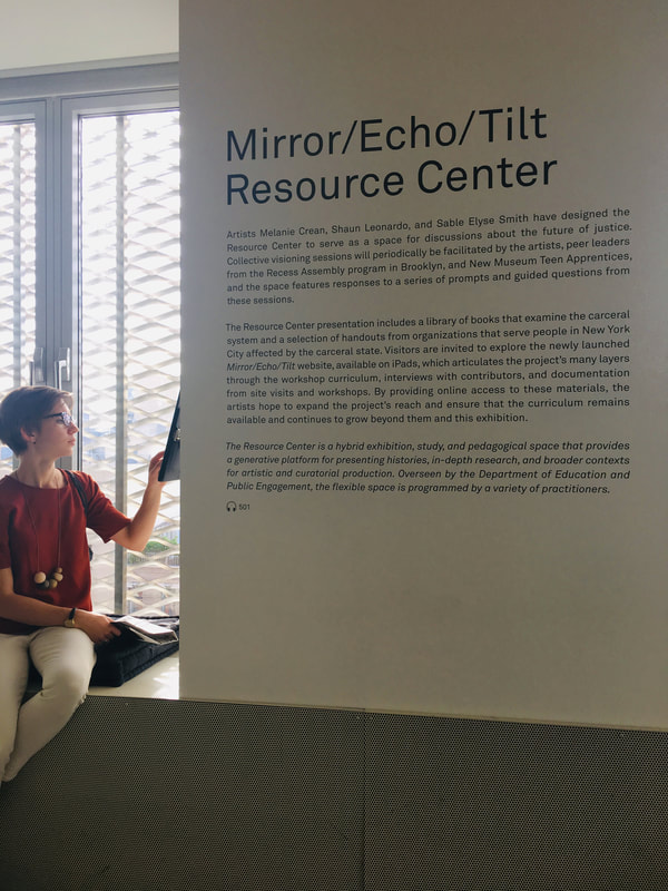 Mirror/Echo/Tilt description of the resources center