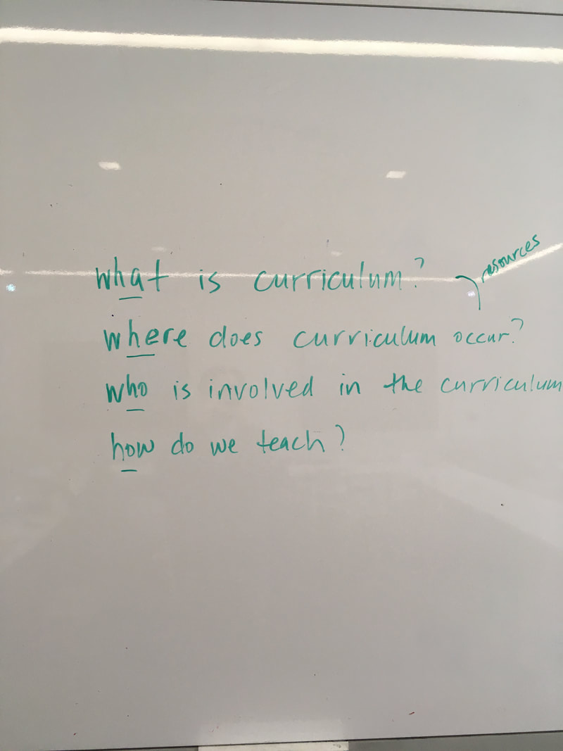 Brainstorming questions that states what is curriculum? Where does curriculum occur? Who is involved in the curriculum? How do we teach?