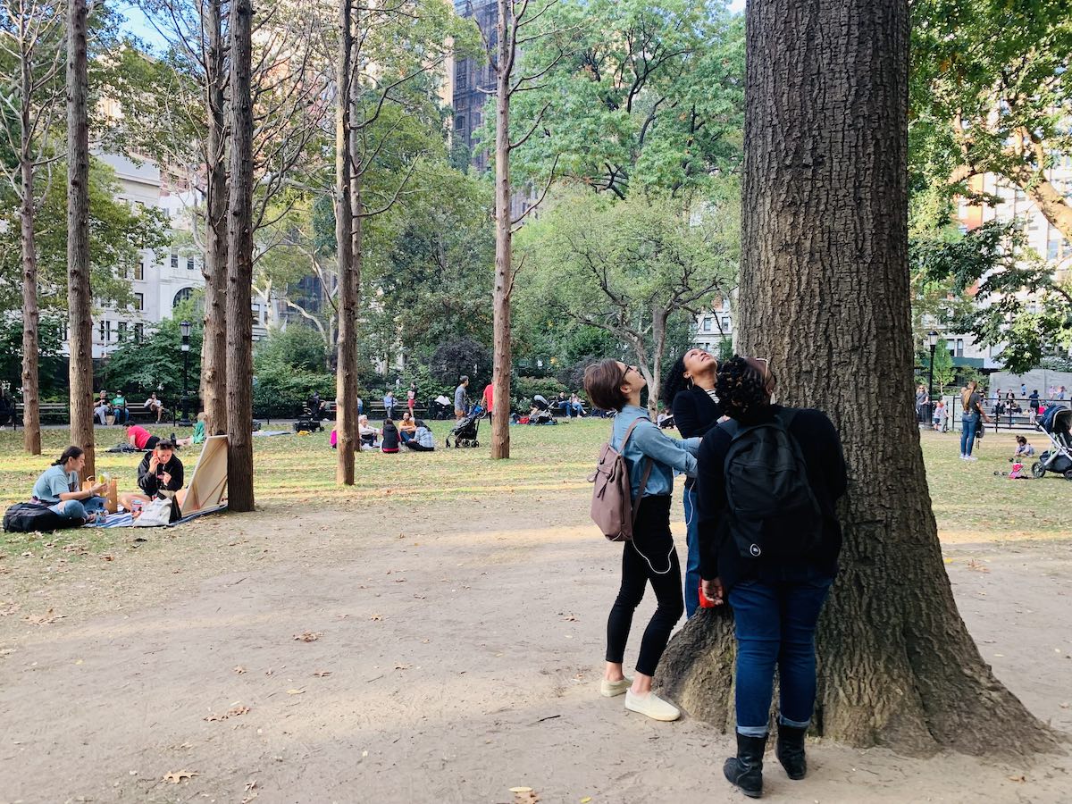 Students hugging a tree