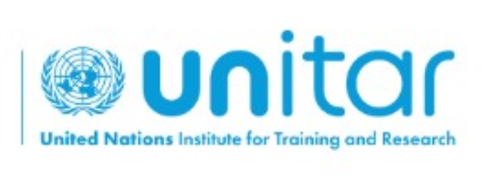 Unitar NYO logo