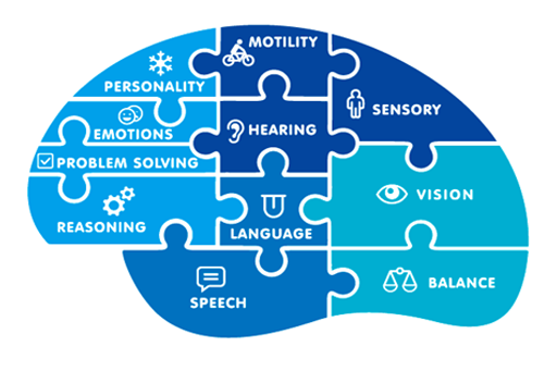 What Is a Neuropsychological Evaluation?
