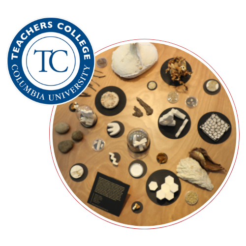 Teachers College icon next to a circular photo of a wooden table top with mushroom and exhibit objects on it.