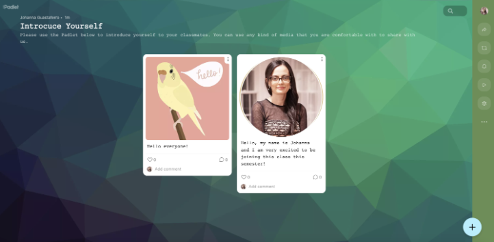 Padlet Example Introduce Yourself