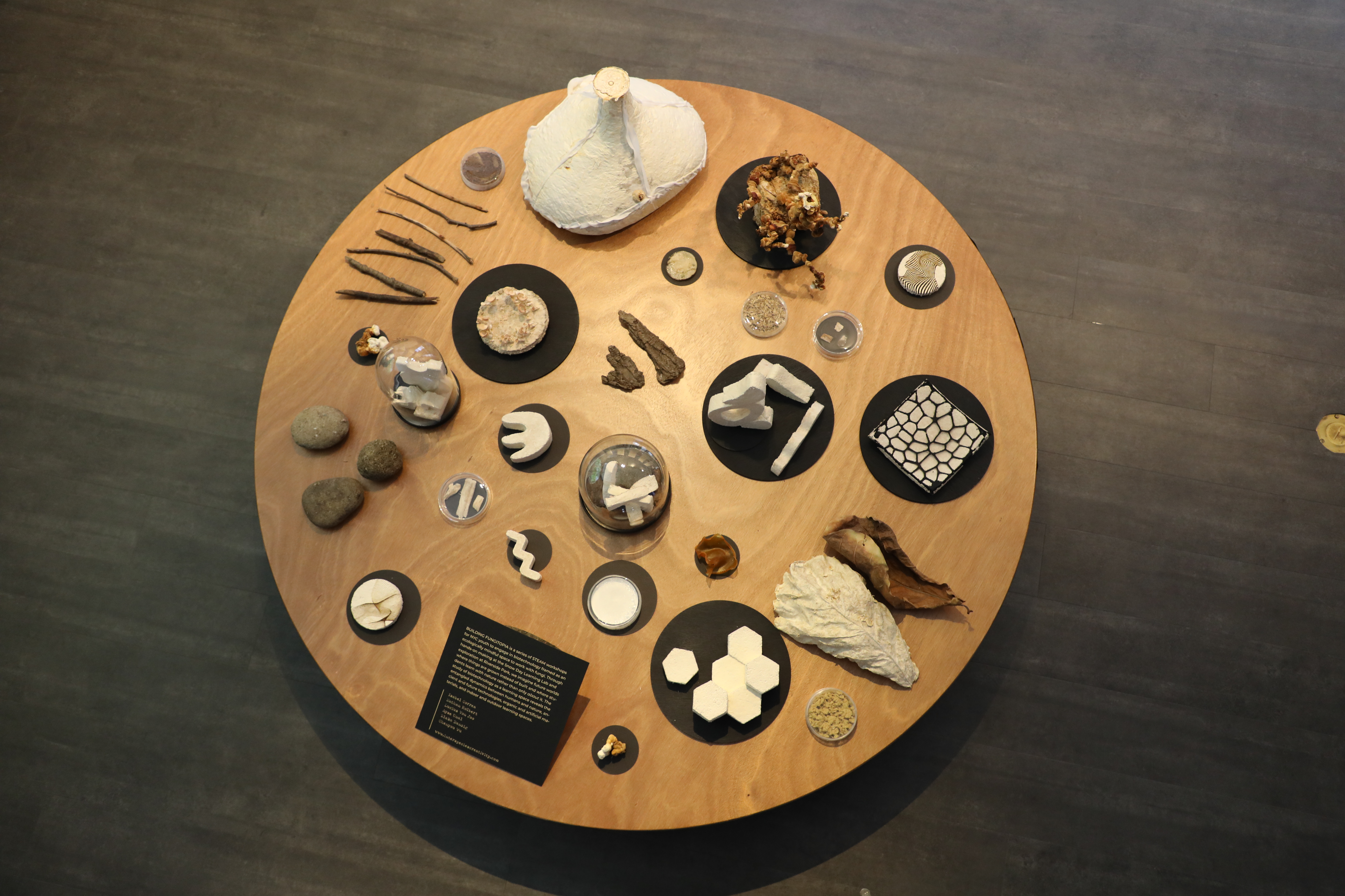 circle table with sculptures grown from mushrooms and mycelium