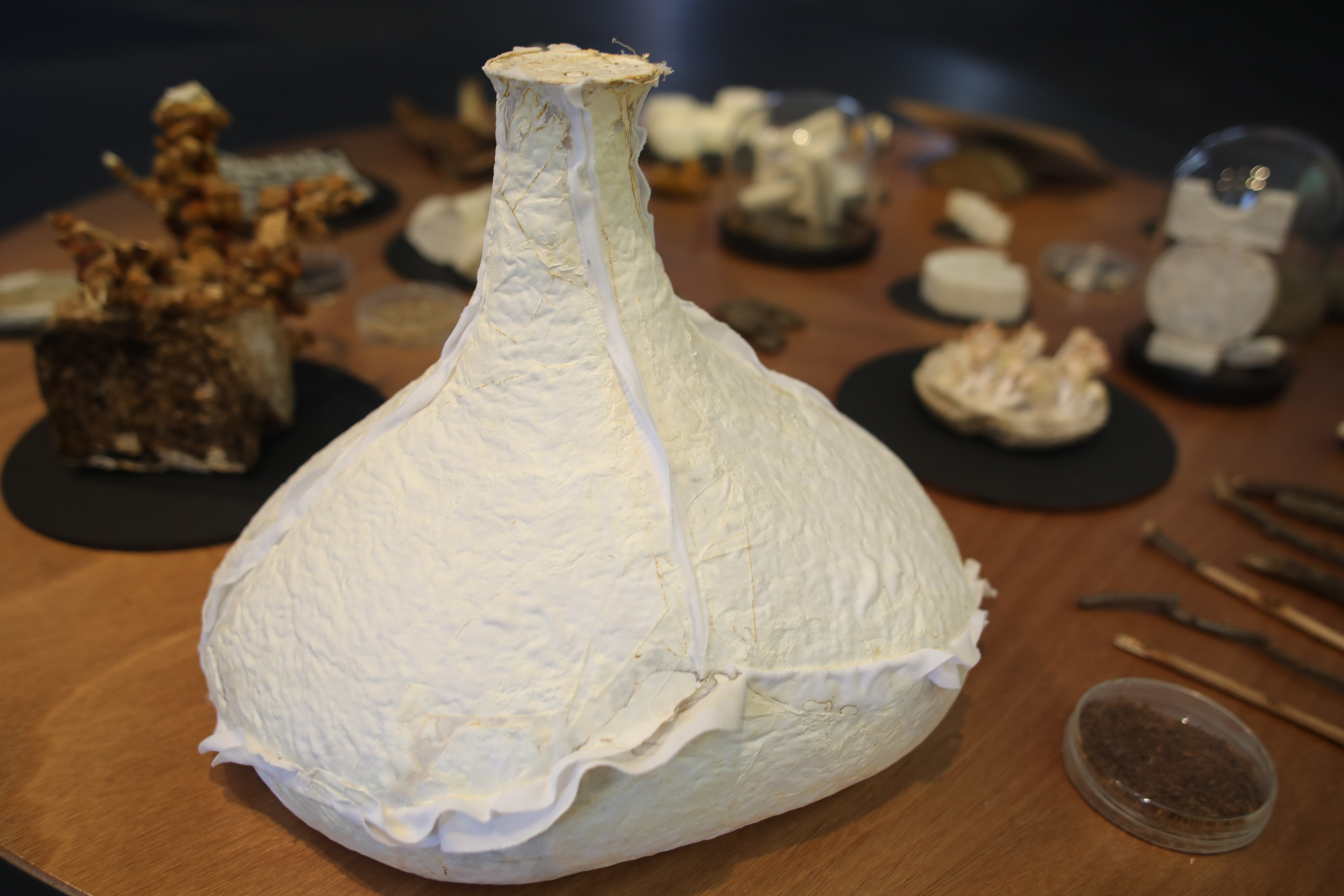 vase-shaped sculpture grown from mycelium 