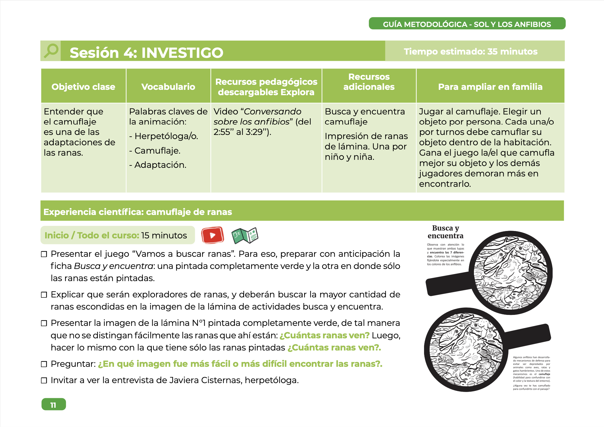 Anfibios 2