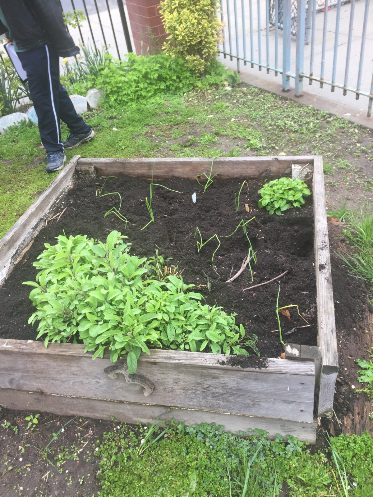 ESE for All 2018-2019 Garden Pic