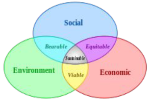 Social Environment and Economic VD for BrightFlame