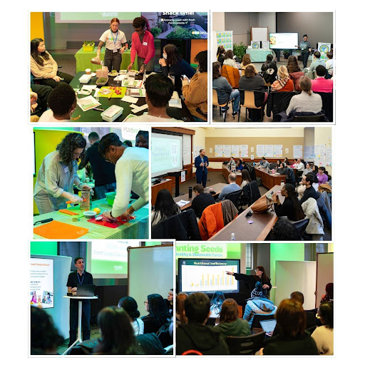 People engaging in food and nutrition education workshops.