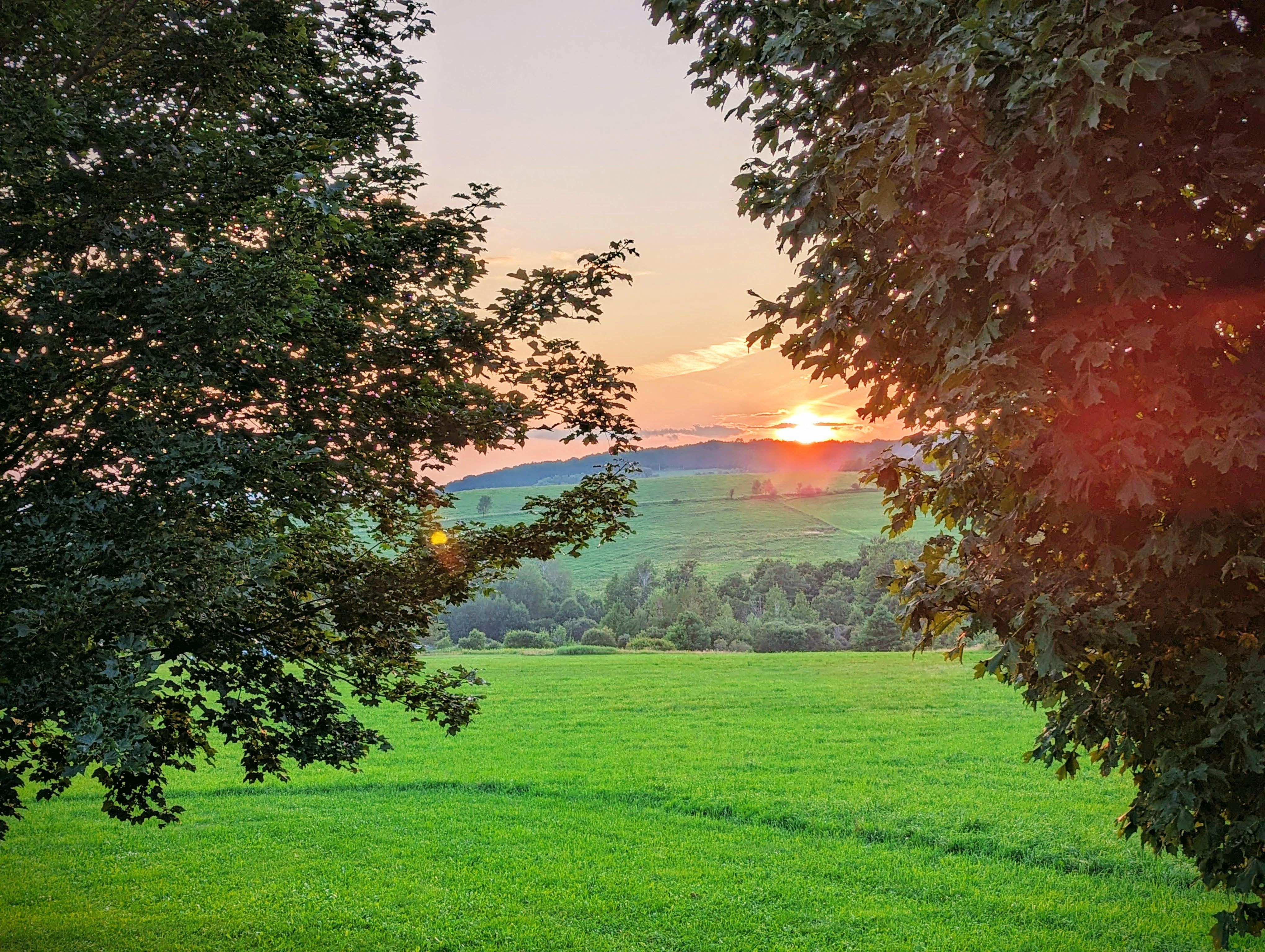 a sunset over a grassy mountain
