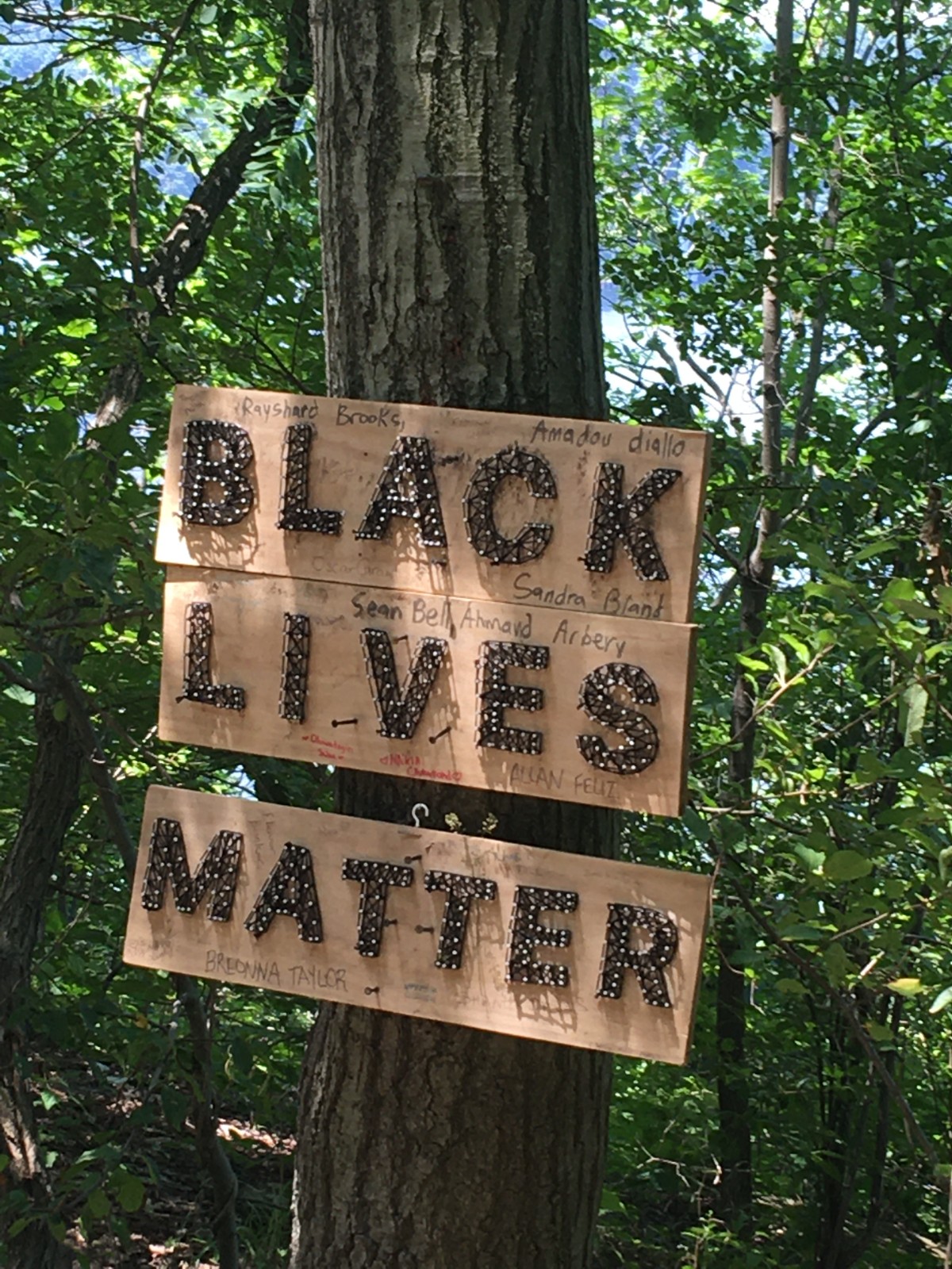 Photograph of BLM sign