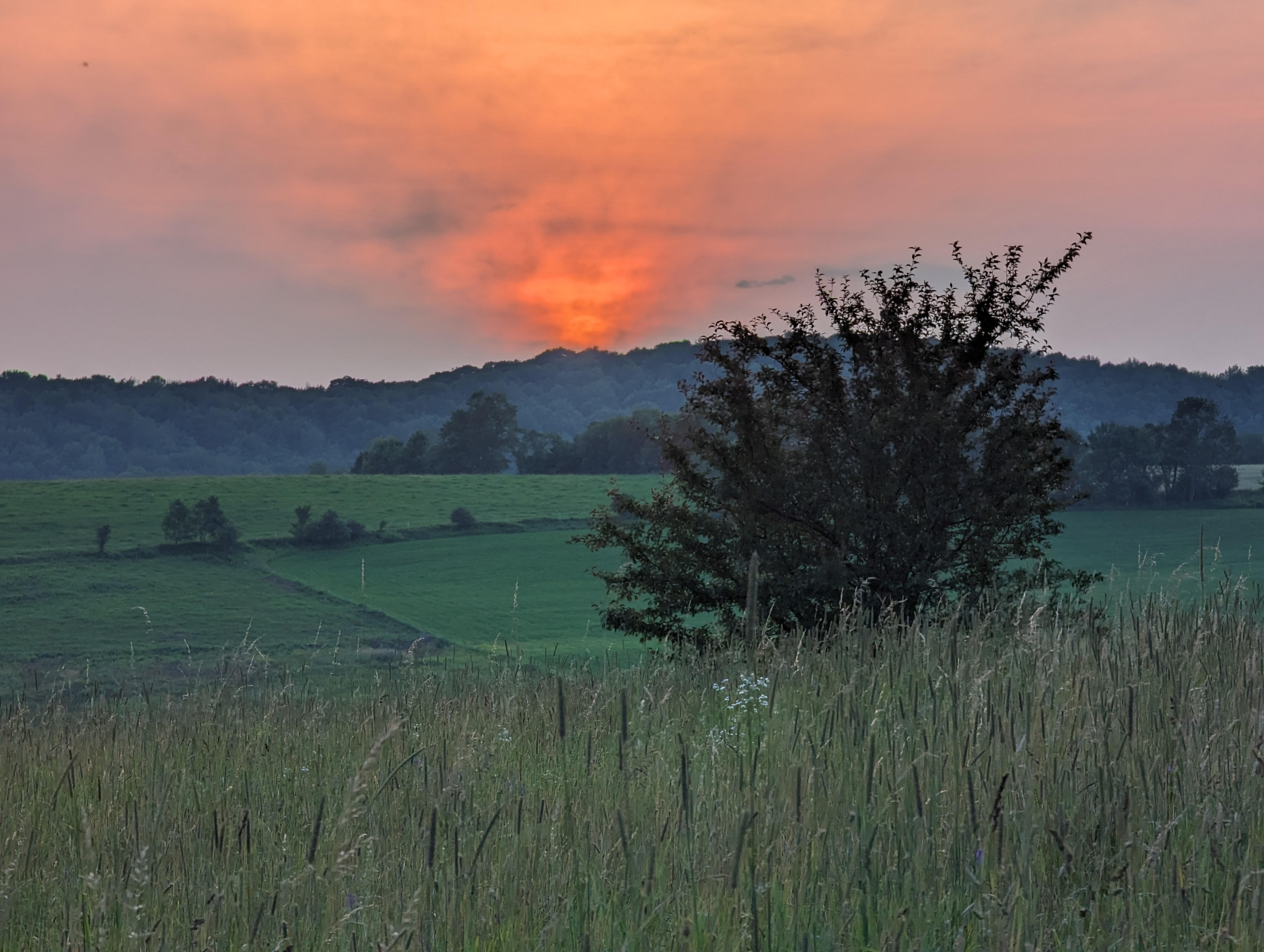 dusk over a grassy landscape