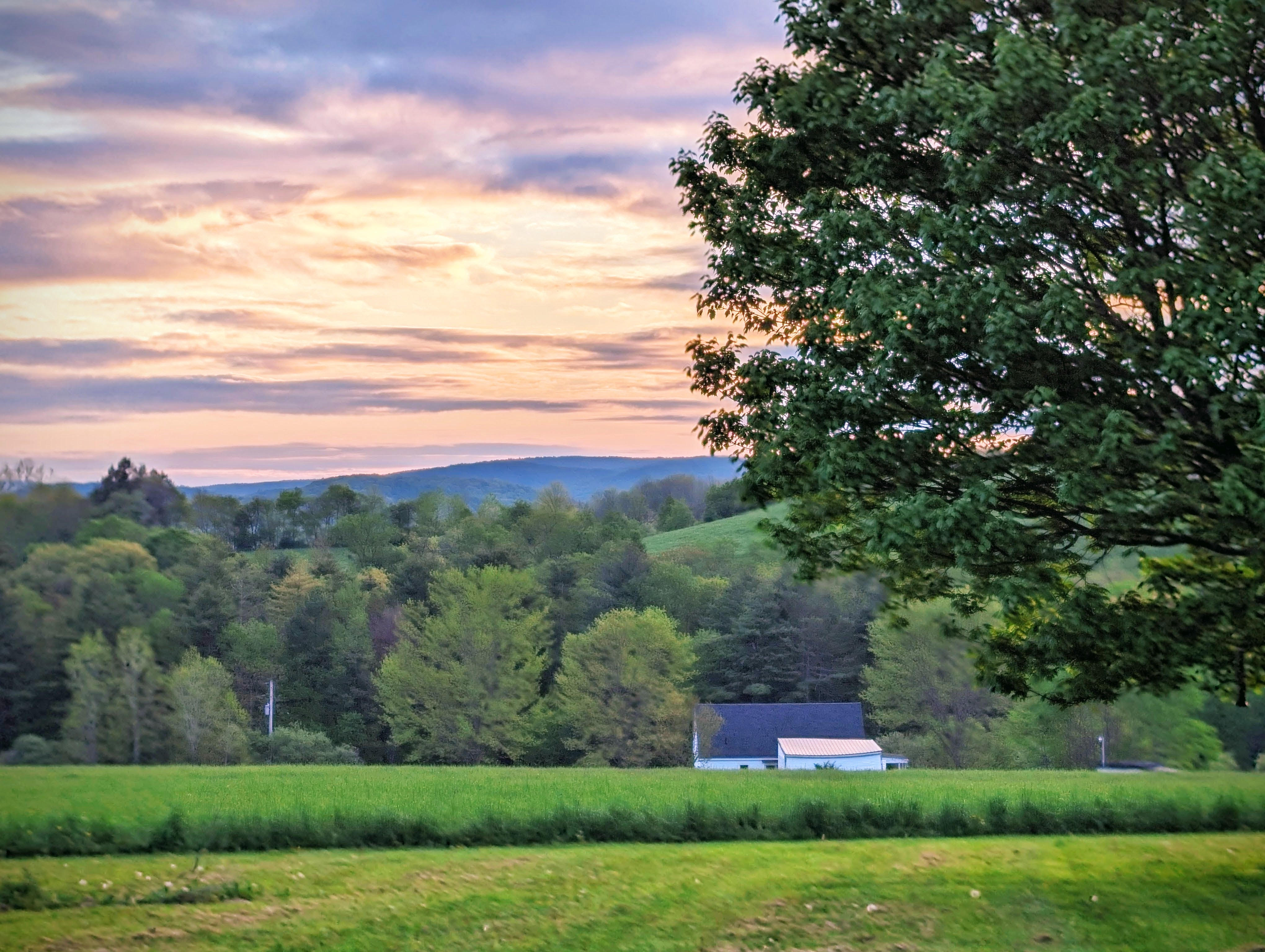 sunrise over a tree-covered field
