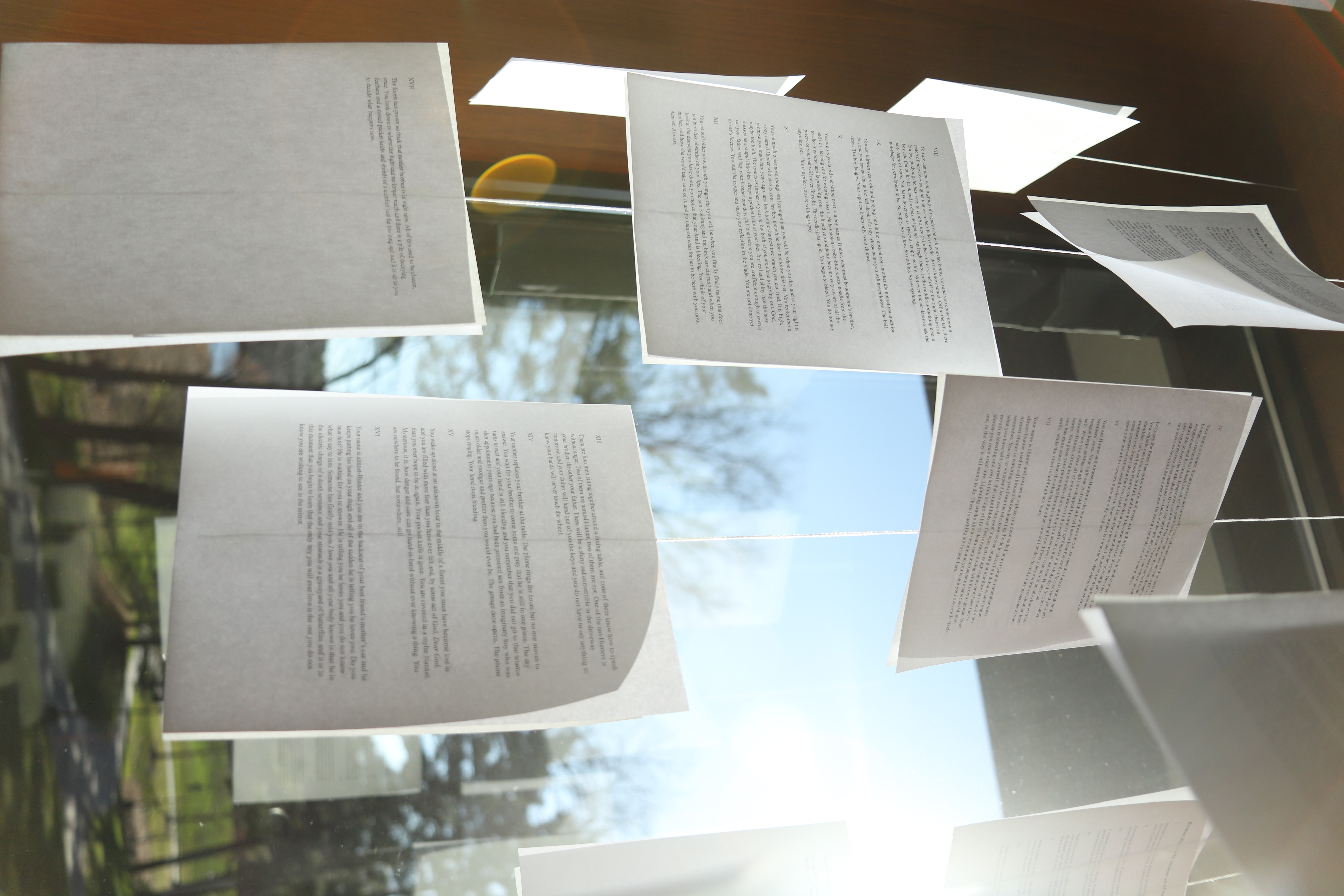 Sheets of paper containing typed poetry, suspended by a thin wire in front of a window