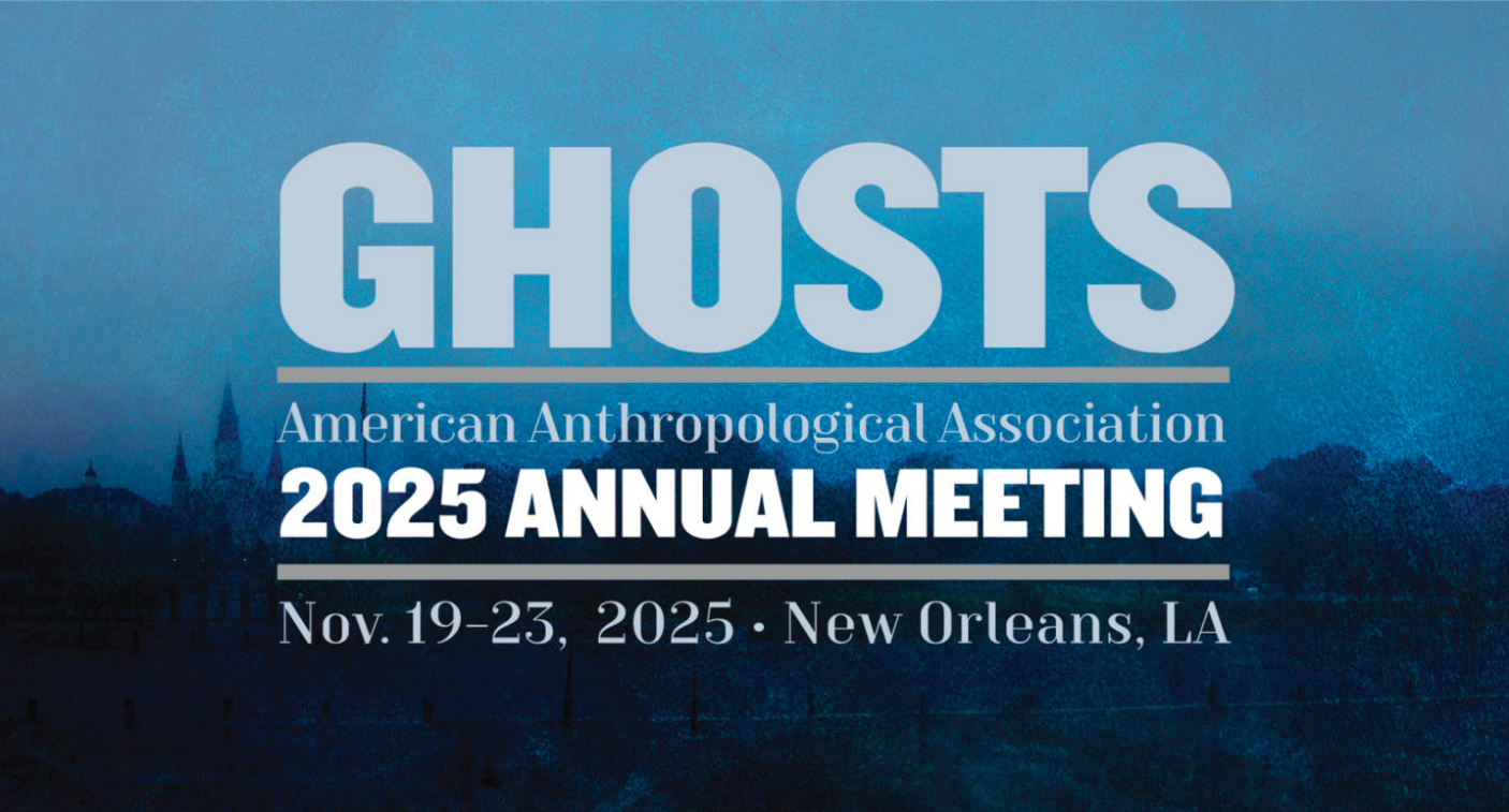 Logo for the AAA 2025 Annual Meeting titled 