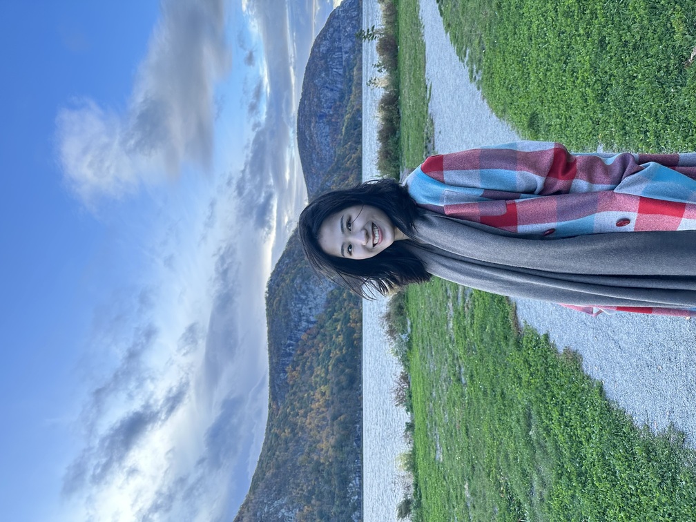 Jingjing Jiang