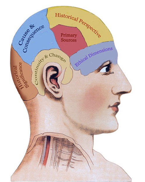 human brain diagram