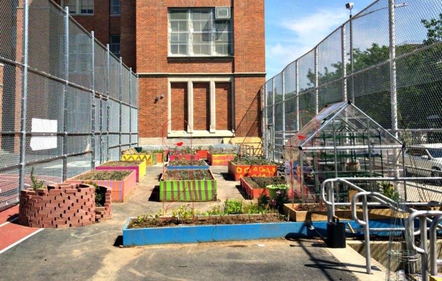 School Climate School Garden