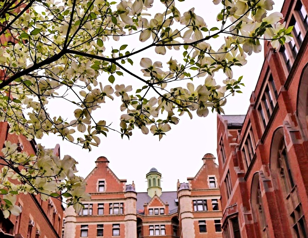 Image of the courtyard