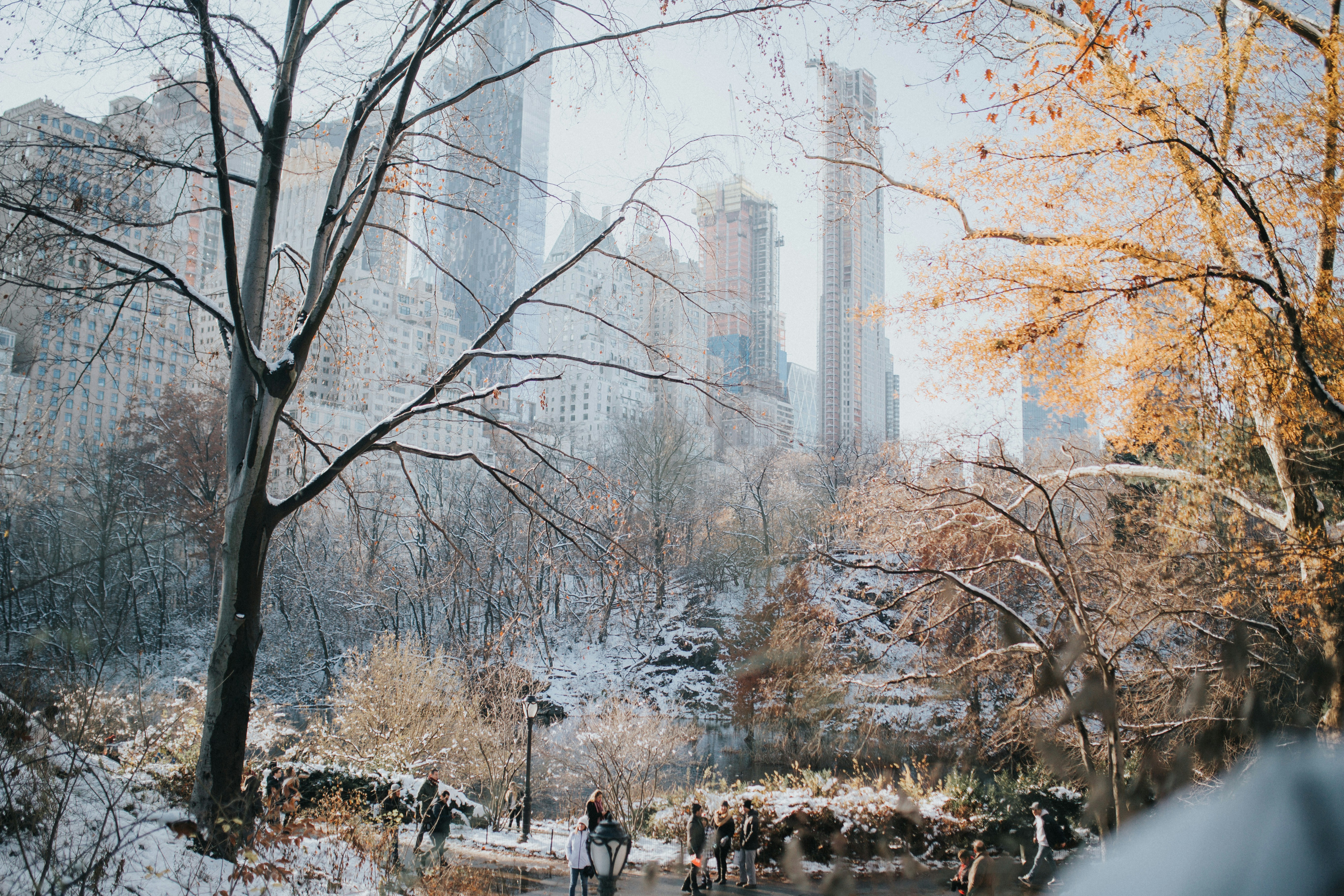 park snowy
