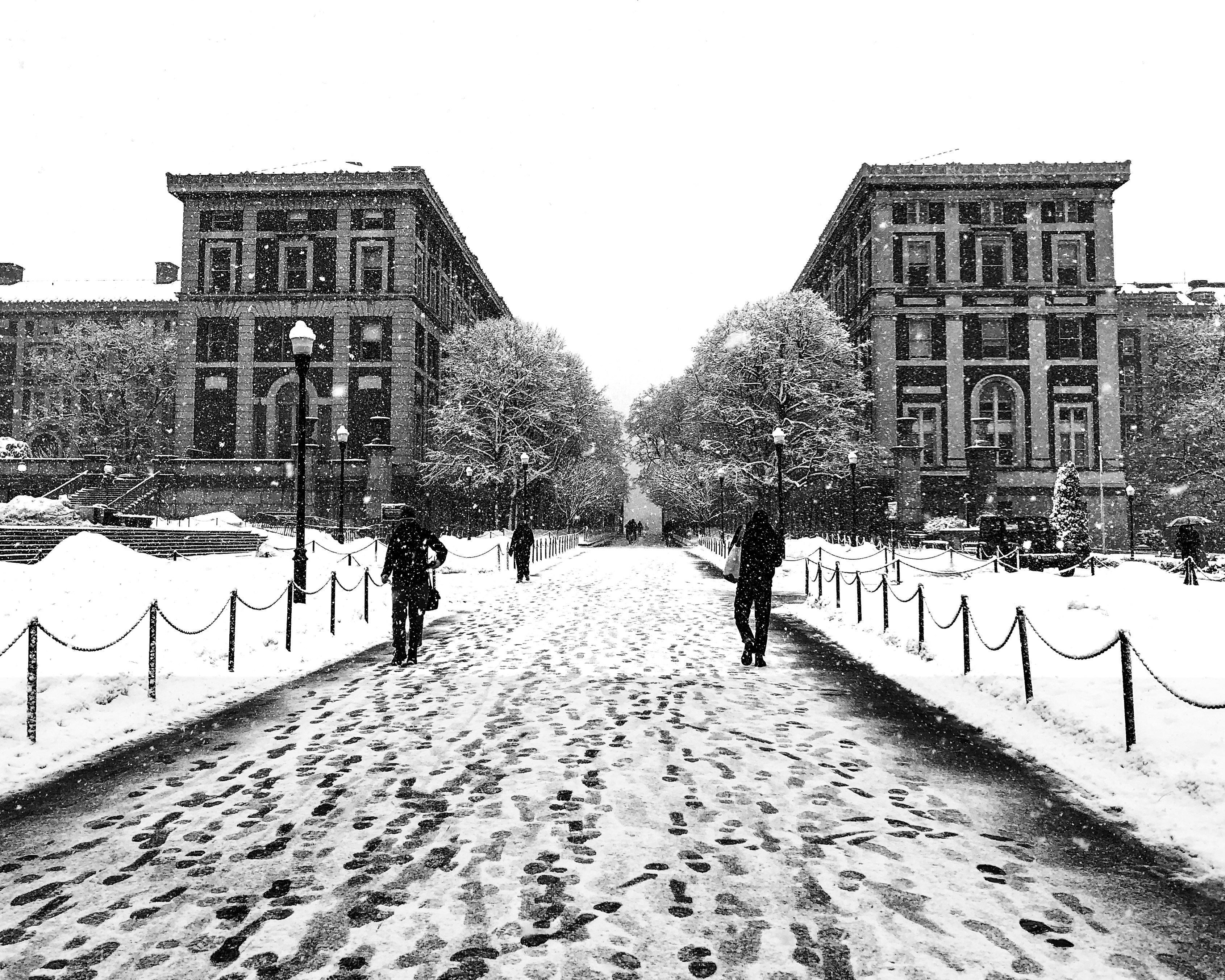 columbiaSnow