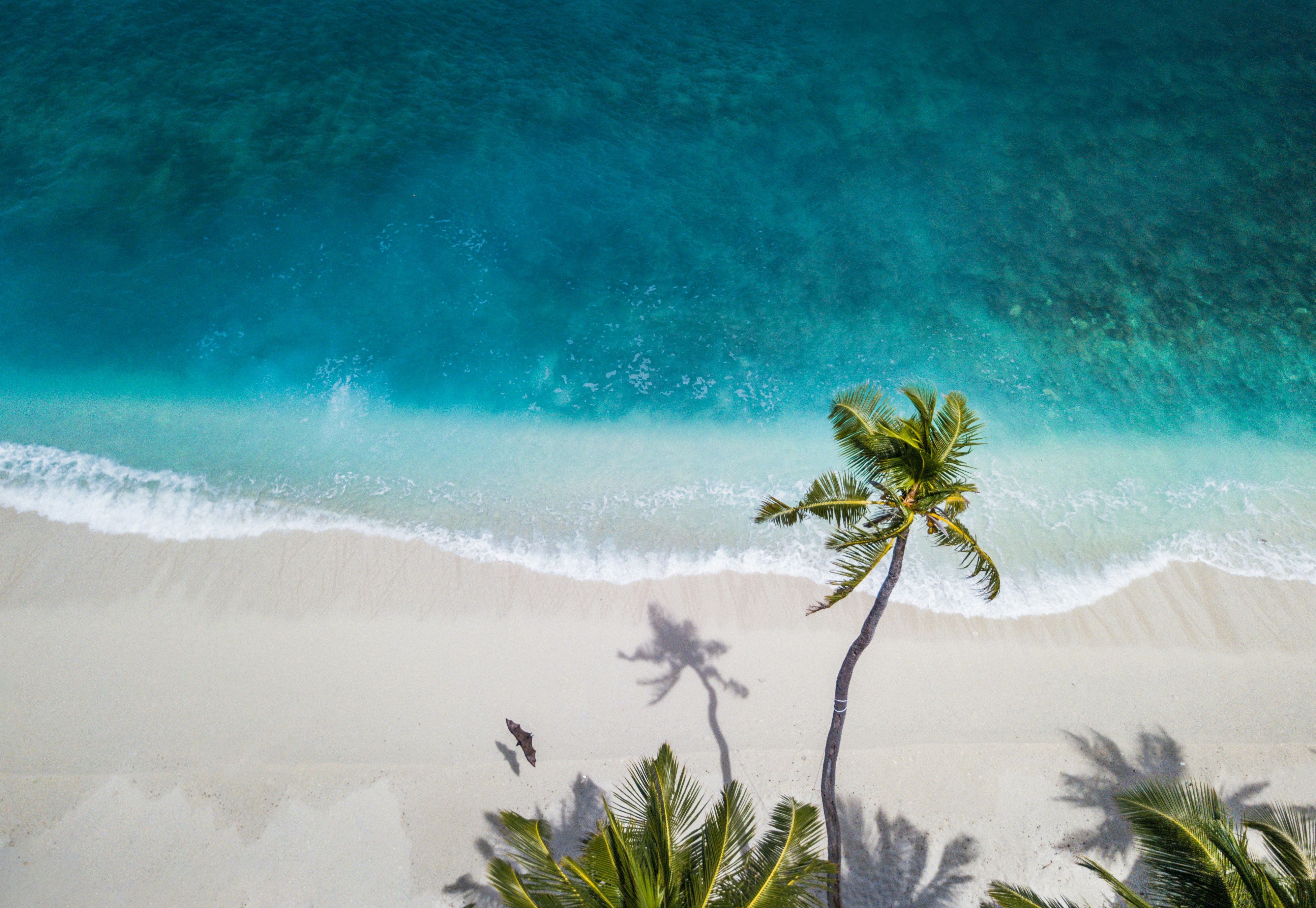 summer_beach