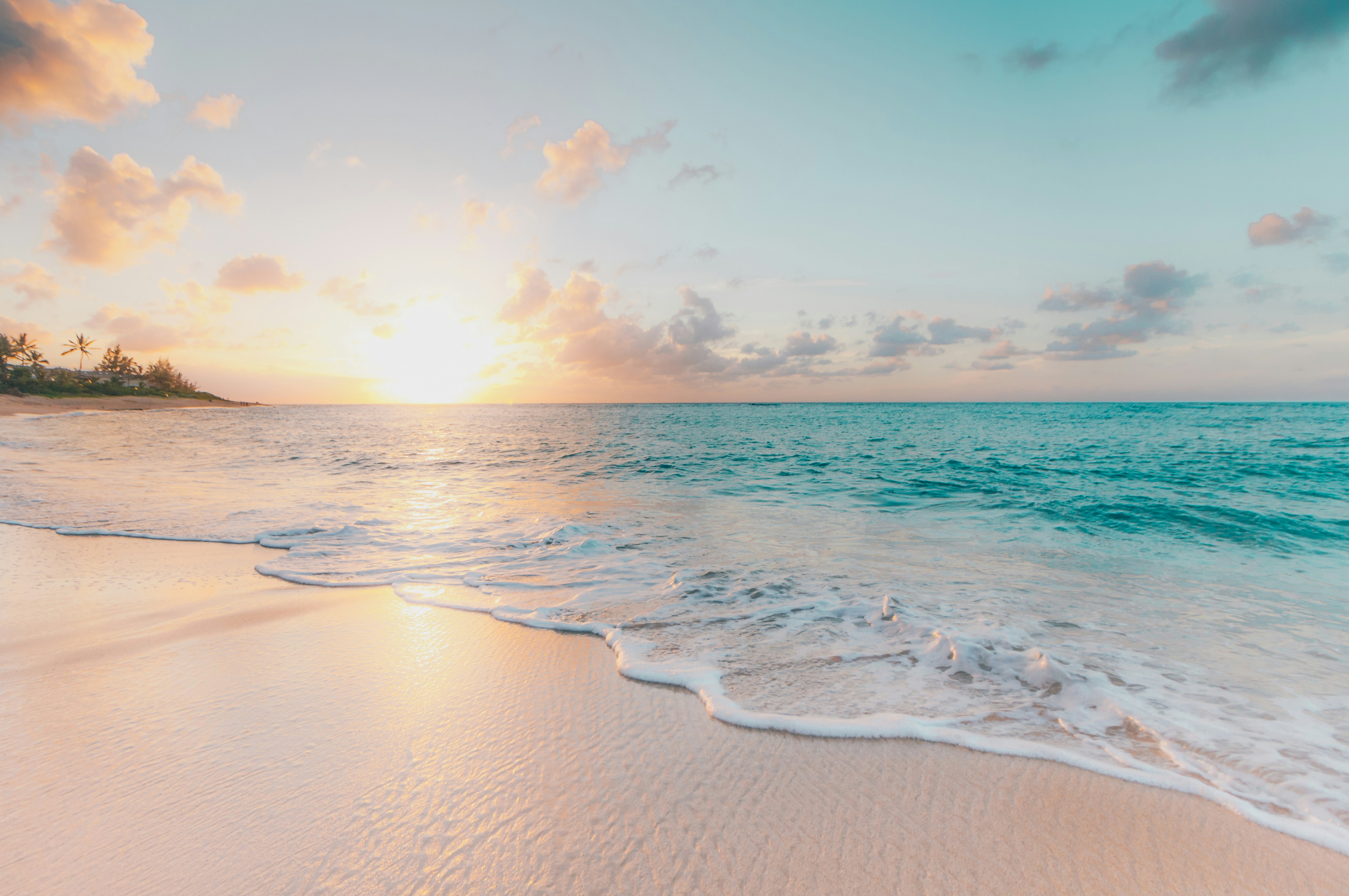beach shore