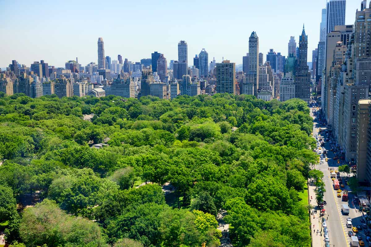 A view of NYC from Central Park