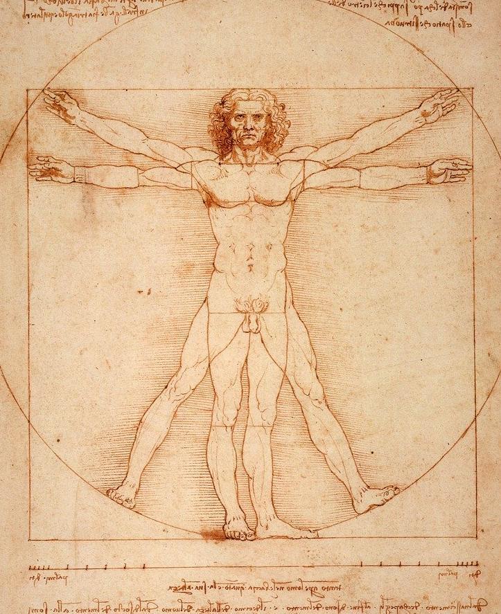 Vitruvian Man by Leonardo DiVinci