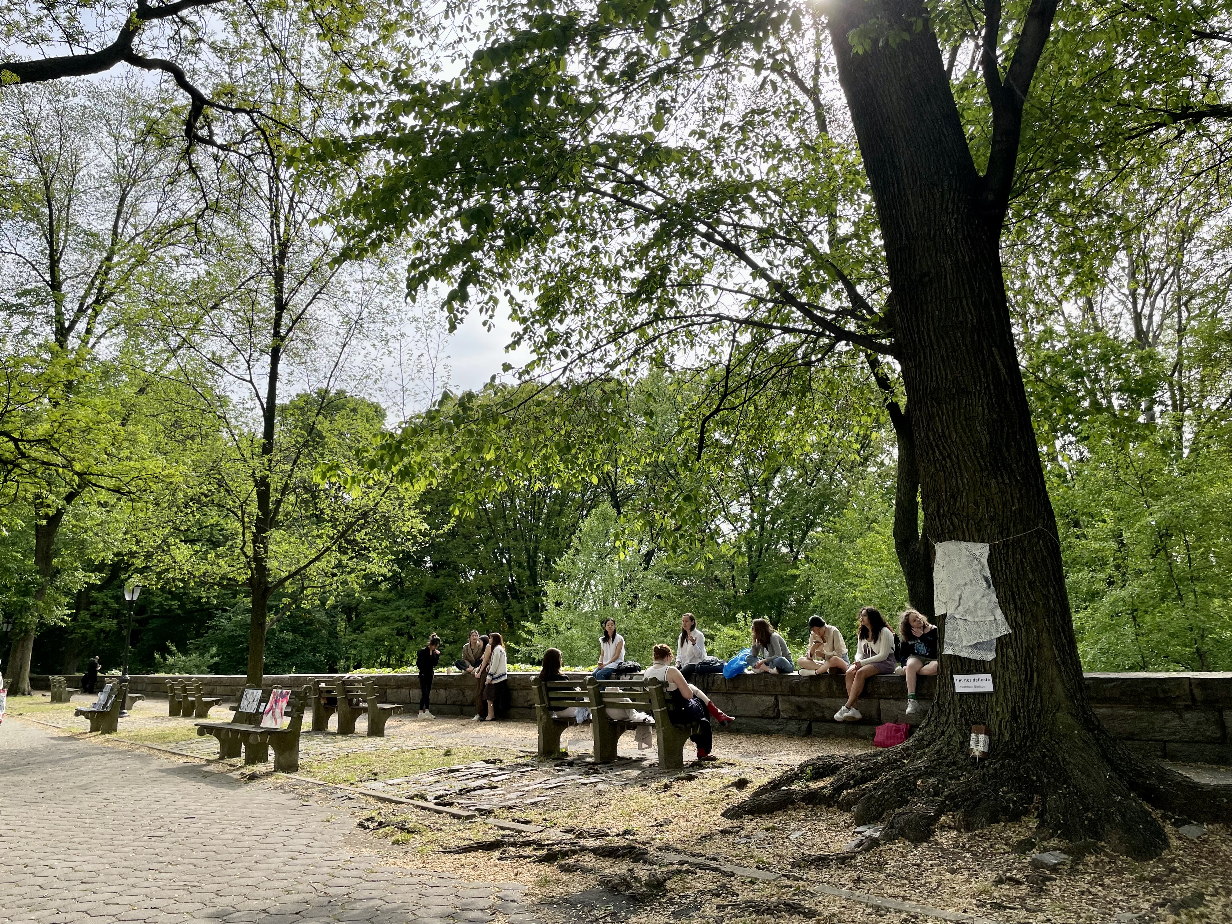 Students experiencing art in nature