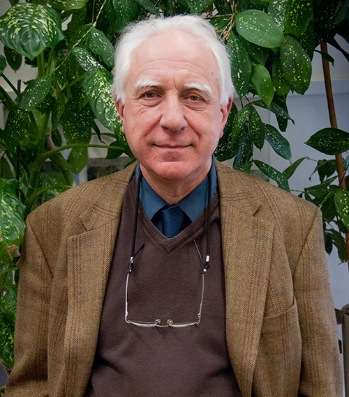 Hervé Varenne, Professor of Education and Chair of the Department of International & Transcultural Studies