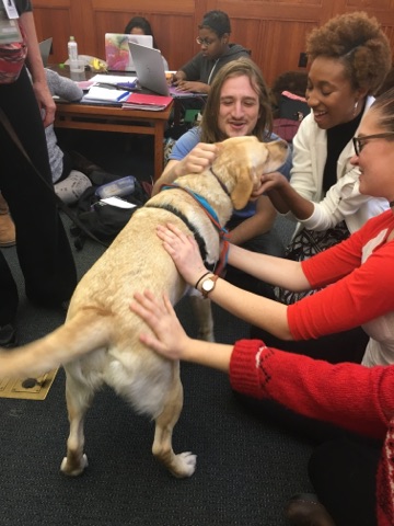 ABBY AT WORK The therapy dog makes her rounds.