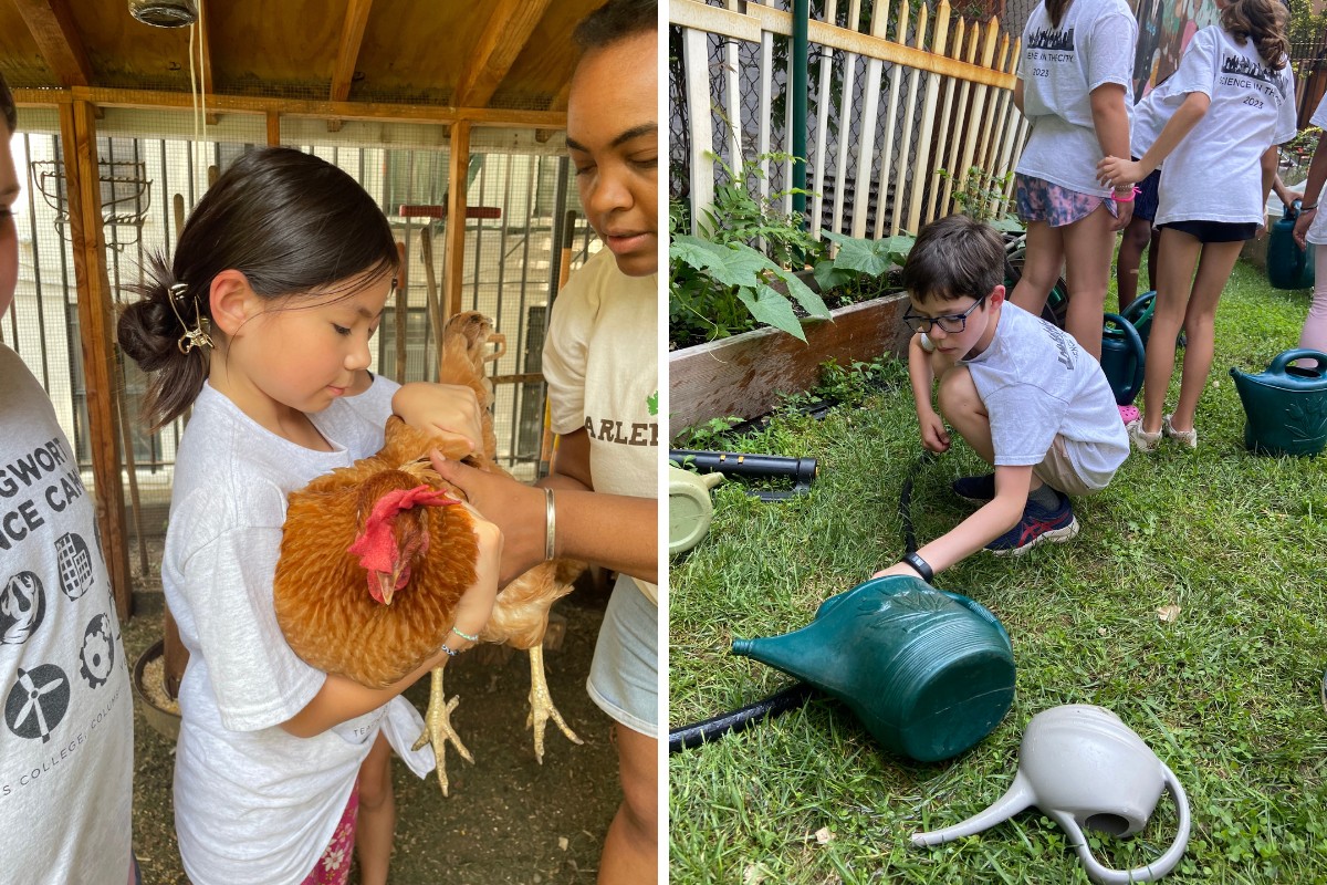 Students enjoy a trip to Harlem Grown!