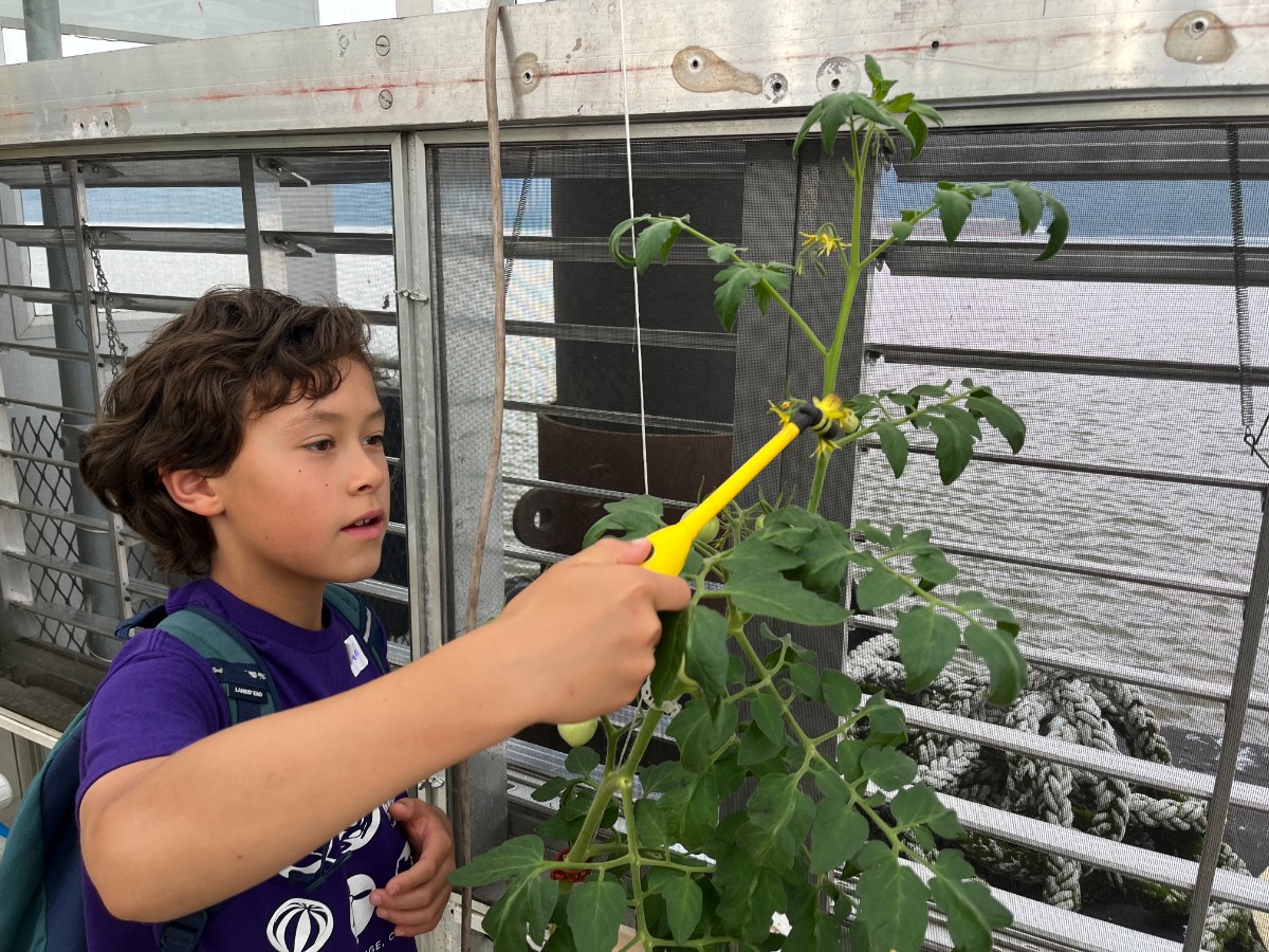 Students engage in city farming.