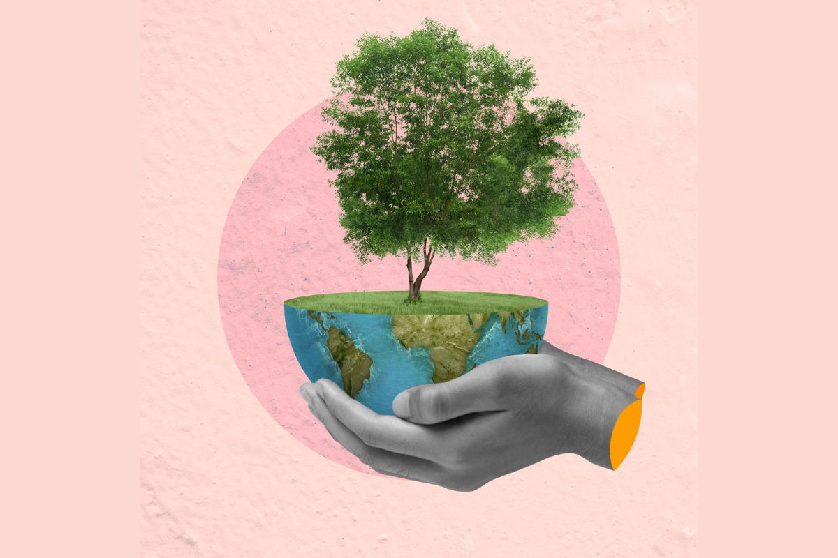 Image of hands holding earth.