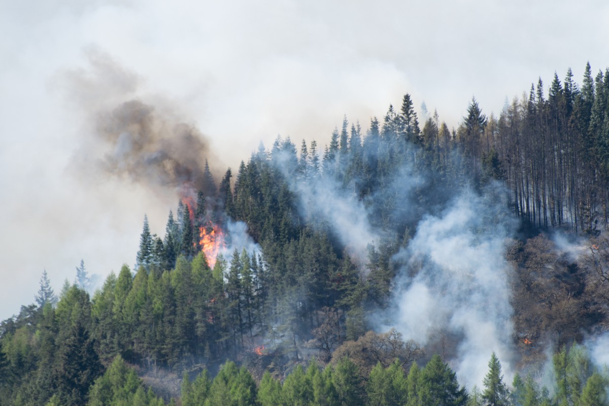 Image of wildfire.