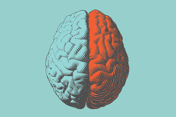 Illustration of both sides of the human brain