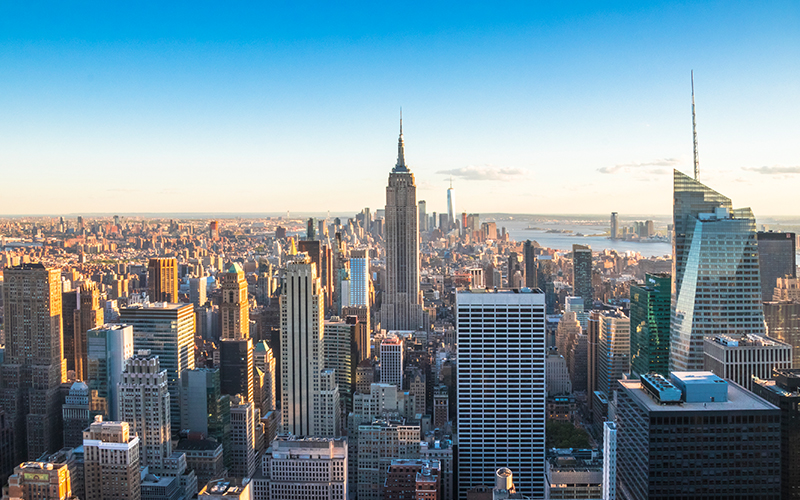 Curriculum Theory and Educational Practice to Center Indigenous Past, Present and Future in New York City
