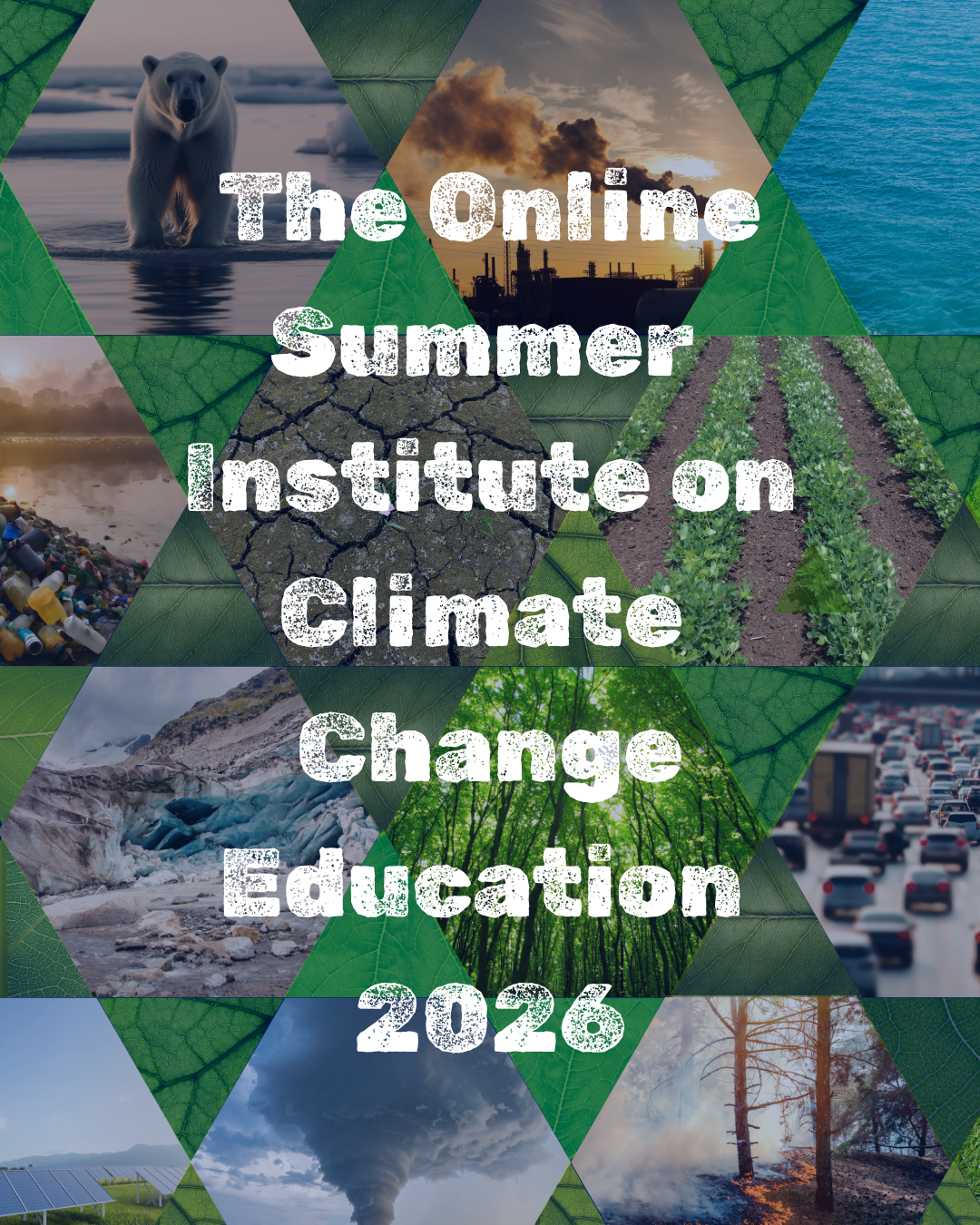 The Online Summer Institute on Climate Change Education 2026