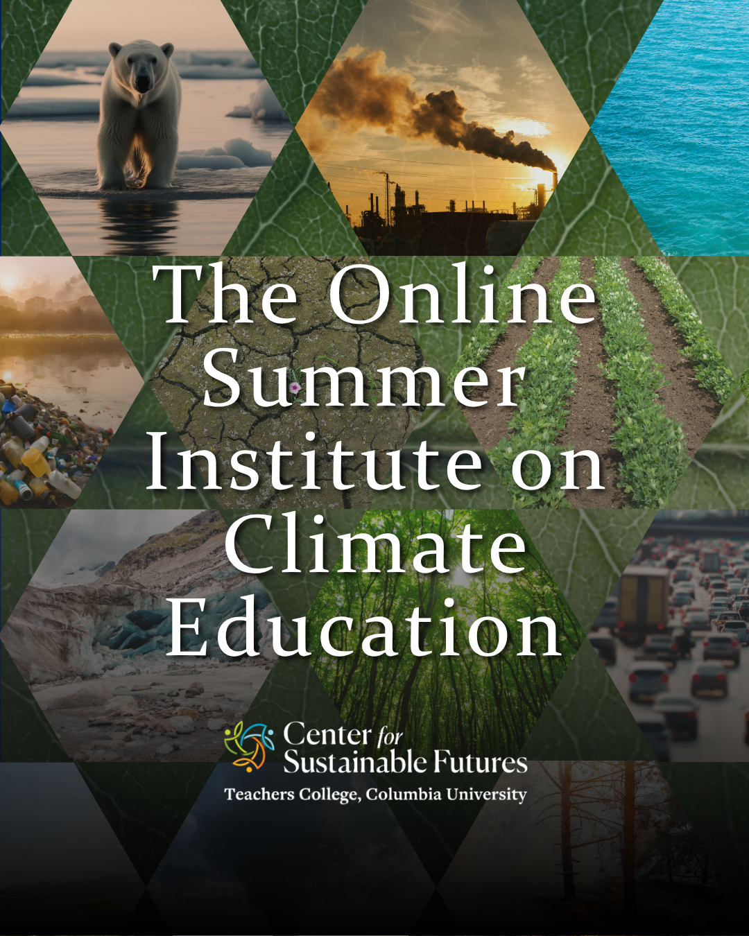 The Online Summer Institute on Climate Education